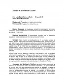Analisis de la sentencia 220/97