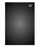 Estructura de la Ligie