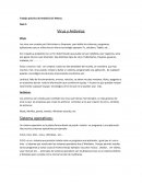 Trabajo de computacion