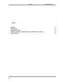 ANALISIS ECONOMICO