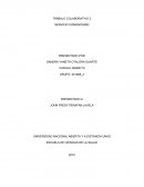 TRABAJO COLABORATIVO 2 SERVICIO COMUNITARIO