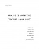 ANALISIS DE MARKETING “CECINAS LLANQUIHUE”