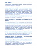 Factores que influyen en la estandarización o en la adaptación local del producto