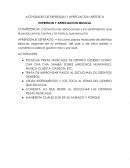 Actividades de expresion y apreciacion artisticas