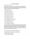 Los Nervios Craneales Consideraciones Generales