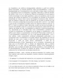 Los bioplásticos son plásticos biodegradables obtenidos a partir de materias primas renovables