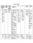 PLAN DE CUIDADO TORACOSTOMIA