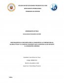 INVESTIGACIÓN DE LA RELACIÓN ENTRE LA VARIACIÓN DE LA TEMPERATURA DE ALCOHOL ETÍLICO Y EL COLOR DEL RECIPIENTE QUE LO CONTIENE AL SER EXPUESTO A LA RADIACIÓN LUMINOSA