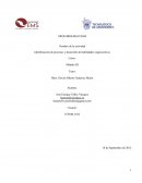 Identificación de procesos y desarrollo de actividades cognoscitivas