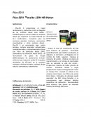 Plus-50 II ™ aceite 15W-40 Motor