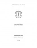 Informe cromatografia de capa delgada