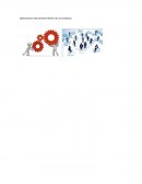 OPTIMIZACION DEL PERSONAL NO VAJ