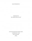 NÚCLEO PROBLEMÁTICO 5