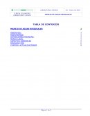 MANEJO DE AGUAS RESIDUALES CONTROL ACTUALIZACIONES