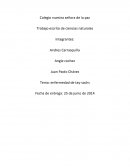 Egipcios Trabajo escrito de ciencias naturales