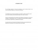 LOS POLÍMEROS INNOVARAN EL GRAN FUTURO INFORMATICO