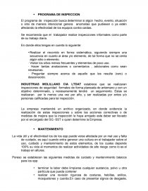PROGRAMA DE INSPECCION. Página 1