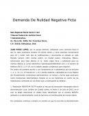 Demanda De Nulidad Negativa Ficta
