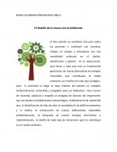 Diseño de la mano del ambiente