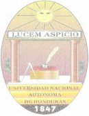 La corte internacional de justicia de la haya y el procedimiento para interponer un asunto internacional