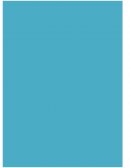 El autoengaño y la caja