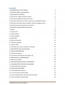 Anulabilidad del Acto Juridico Peruano