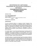 PROGRAMA SALUD OCUPACIONAL - EXPRESION GRAFICA