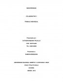 TRABAJO INDIVIDUAL BIODIVERSIDAD