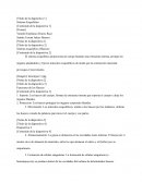Sistema esqueletico
