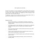 La nueva Experimentacion cientifica