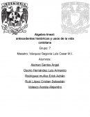 Algebra lineal: antecedentes históricos y usos de la vida cotidiana