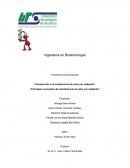 Principios avanzados de transferencia de calor por radiación