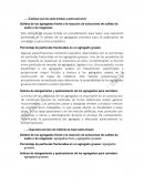 INFORME CARAS FRACTURADAS