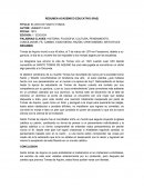 RESUMEN ACADEMICO EDUCATIVO (RAE) - SANTO TOMAS