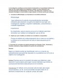 Concepto de Metodología y su importancia en el ámbito profesional.