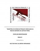 Cuestiones procesales y de persecución criminal en el Sistema Penal Acusatorio