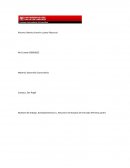 DESARROLLO COMUNITARIO