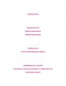 PROGRAMA DE CIENCIAS ECONOMICAS Y ADMINISTRATIVAS