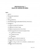 RESPONSABILIDADES DE IMPLEMENTACIÓN DEL PROTOCOLO.