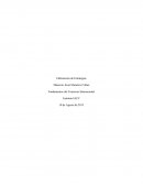 La gran Elaboración de Estrategias