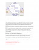 Estrategias tributarias