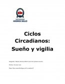 Bases neurofisiológicas de la conducta II