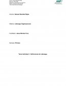 Definiciones de liderazgo