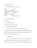INFORME PSICOLOGICO