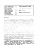 Impacto ambiental de la producción de la piña en Costa Rica
