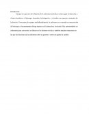 Liderazgo e investigación