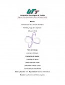 Licencia de Software