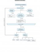 Tecnologia de los materiales