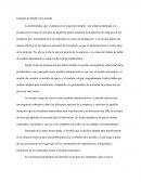 Ejemplo de Modelo de Custodia