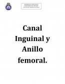 Canal Inguinal y Anillo femoral.
